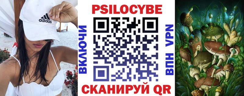 Купить закладки  Порхов  Галлюциногенные грибы GOLDEN TEACHER 